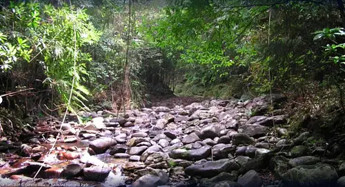 Bach Ma National Park Trekking Full-day Guided Tour with Lunch