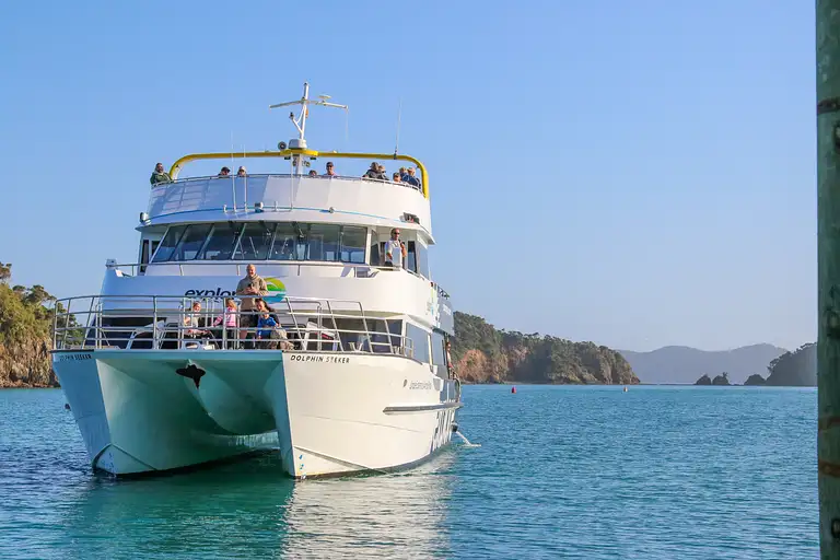 Bay of Islands Wildlife Cruise