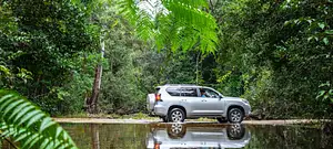 Half Day 4WD Daintree And Cooktown Tour - Private Tour