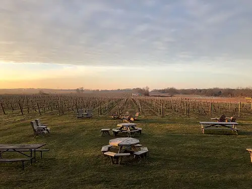 Wine Tasting Day Trip From NYC