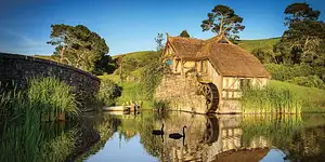 Rotorua to Auckland Via Hobbiton