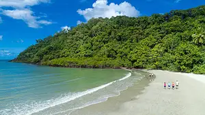 Cape Tribulation Tour