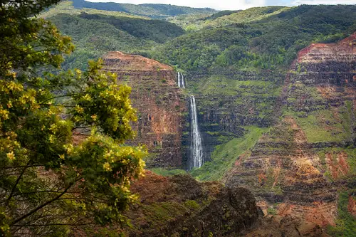 Waimea Canyon & Kōkeʻe Scenic Adventure Tour