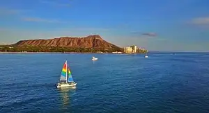 turtles snorkelling in Hawaii