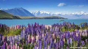 Christchurch to Queenstown Day Tour | Via Mt Cook & Tekapo | Small-Group Tour