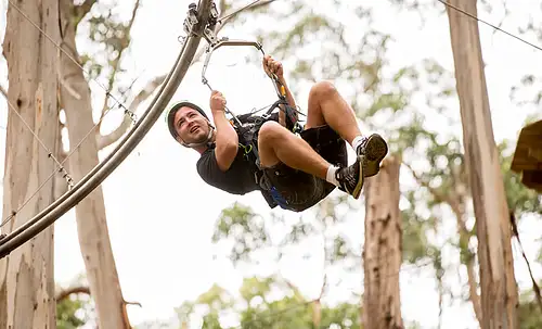 Surf Coast & Lorne Zipline Tour Discount