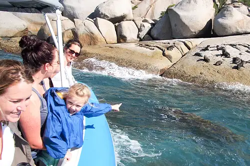 Seal Island Scenic Cruise