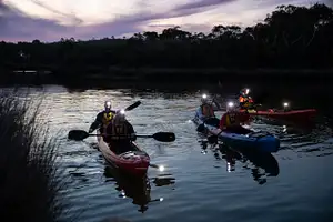 Night Kayaking at Anglesea