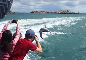 Margaret River and Wildife Day tour | From Perth