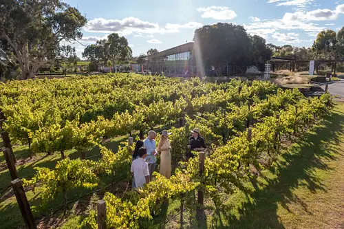 South Australia wine tasting tours
