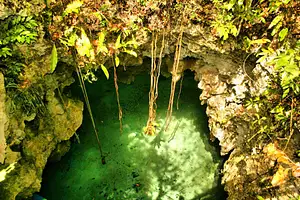 Mayan Underworld