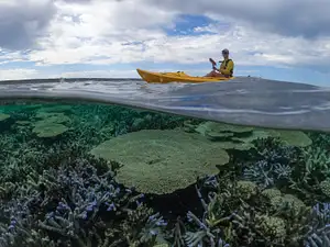 Coral By Kayak | Exmouth