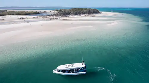 Hervey Bay nature cruise
