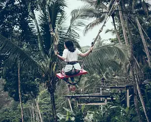 Full Day Best of Ubud with Jungle Swing - Small group Tour