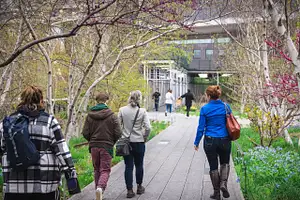 Highline & Chelsea Market Tour - Private Tour