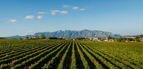 Montserrat and Penedès Private Tour from Barcelona