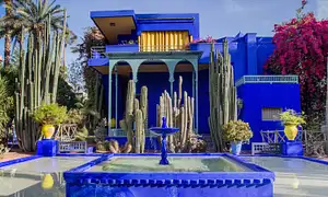 Botanical Tour In Marrakech