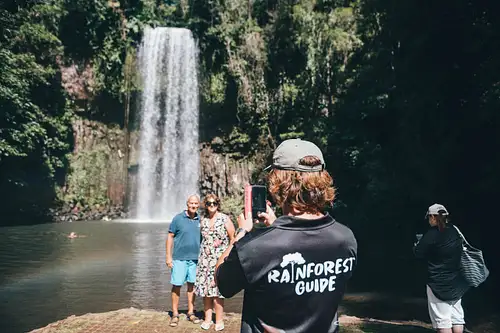 Millaa Millaa Falls Waterfall Swim Atherton Tablelands Cairns Tour