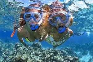 Daintree Rainforest & Great Barrier Reef package Deals