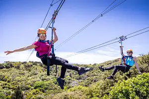 Zip, Wine and Dine - Waiheke Island package, Auckland ferry included