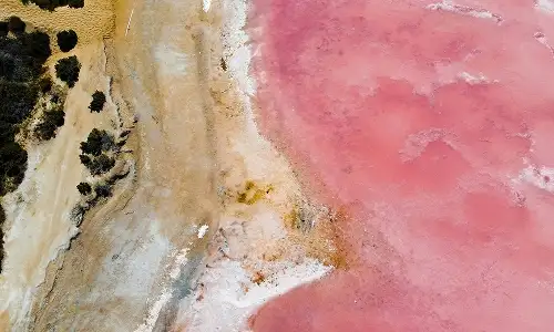 Pink Lake