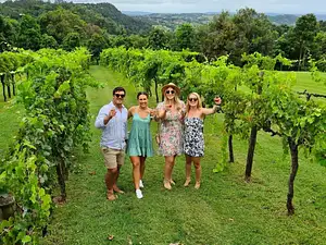 Sunshine Coast Hinterland Cheese & Wine Tour