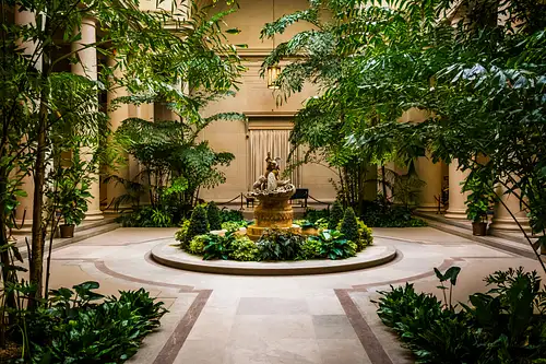 Semi-Private National Gallery of Art Experience DC