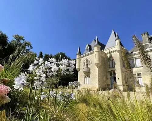 Full Day Wine Discovery Tour in Saint-Emilion | From Bordeaux