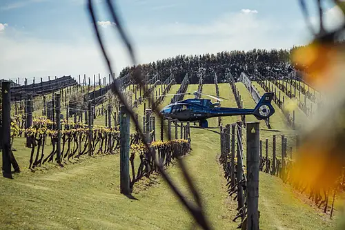Heli-Ferry: Waiheke Island Vineyard Experience