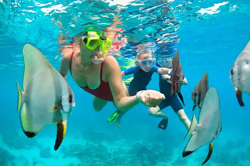 Mauna Kea Sealife Snorkel