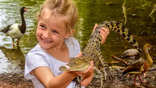 Billabong Sanctuary package